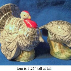 turkeys2.jpg