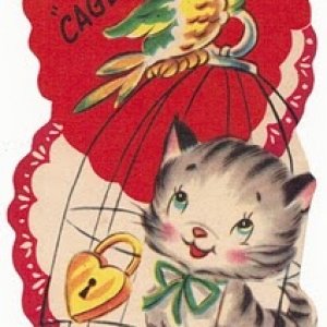 cat in cage.jpg