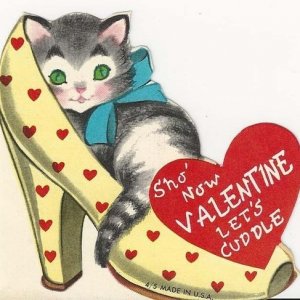 cat in shoe.jpg