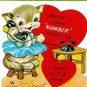 cat telephone.jpg