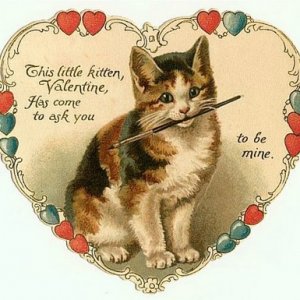 cat with paintbrush.jpg