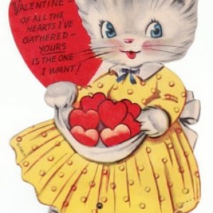 cat witk bowl of hearts.jpg