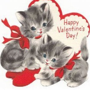 gray kittens.jpg