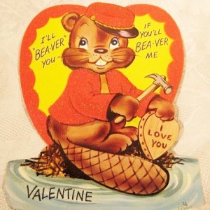 beaver.jpg