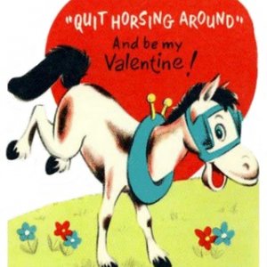 horse2.jpg