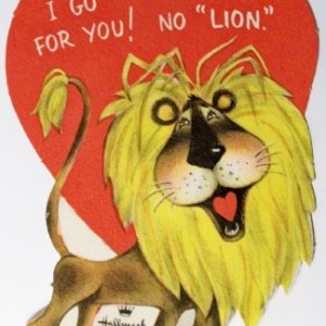 lion.jpg