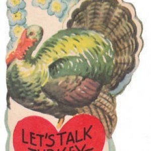 turkey.jpg