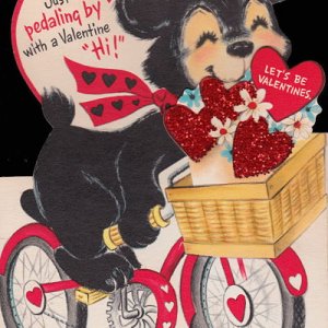 bear on bike.jpg