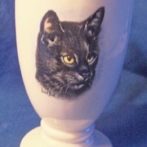 mug1a.jpg