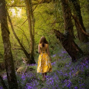 follow morn 66.jpg