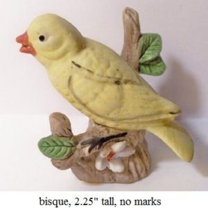 bird4.jpg