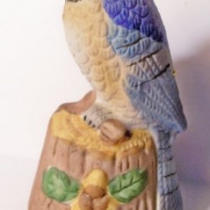 bird8.jpg