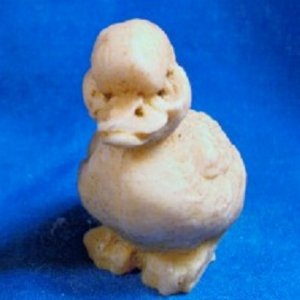 bone duck.jpg