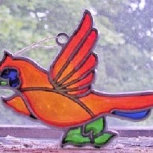 cardinal.jpg