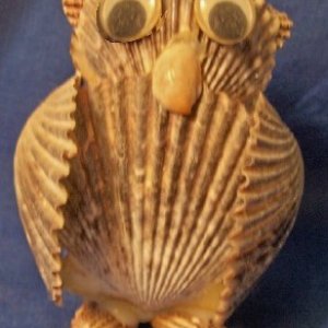 shell sculpture owl.jpg
