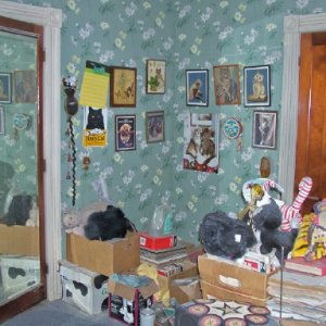 middle bedroom3.jpg