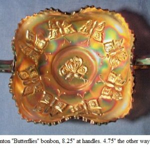 Fenton Butterflies1.jpg