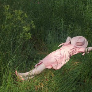 pink morn in grass.jpg