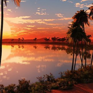 sunsettropics.jpg