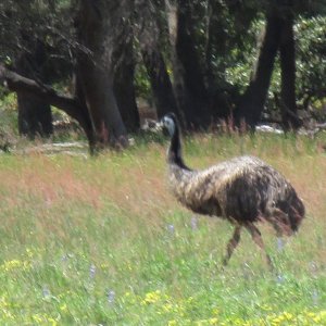 IMG_1945.JPG