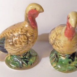 turkeys1a.jpg