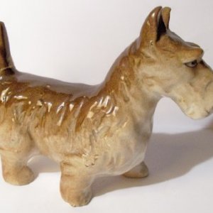 brown scottie1.jpg
