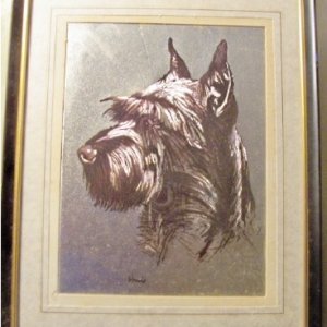 picture2.jpg