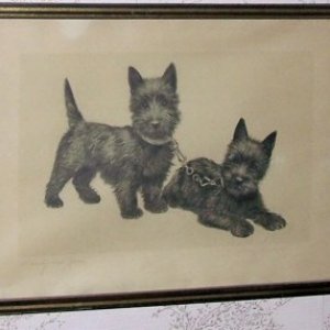 picture3.jpg