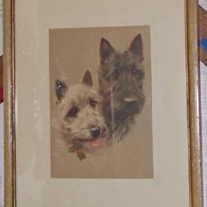 picture4.jpg