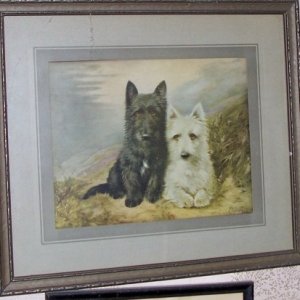 picture6.jpg