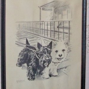 picture7.jpg