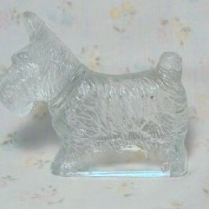scottie candy.jpg
