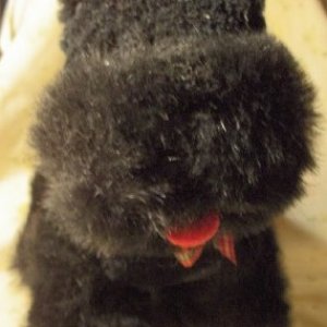stuffed1.jpg