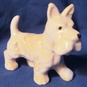 white scottie3.jpg