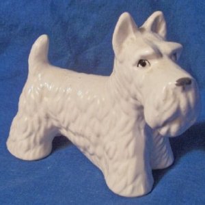 white scottie4.jpg