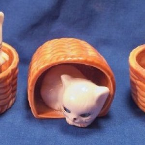 kittens in baskets.jpg