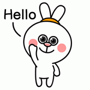funny-rabbit-hi.gif