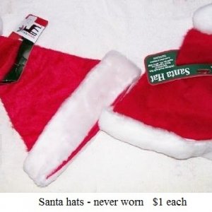 santa hats.jpg