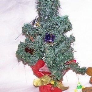 tree_2.jpg