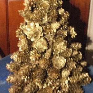 tree_pinecone1.jpg