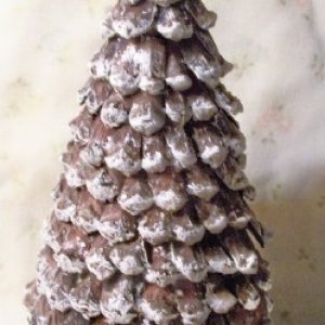 tree_pinecone2.jpg