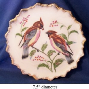 bird plate2.jpg