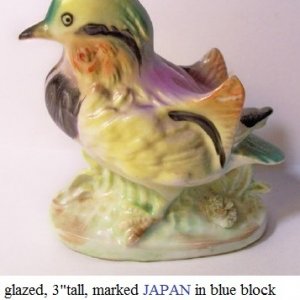 bird3.jpg