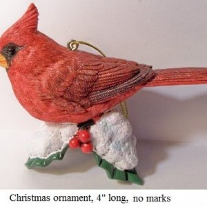 bird7.jpg