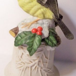 bird9.jpg