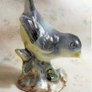 bird11.jpg