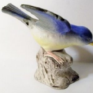 bird12.jpg