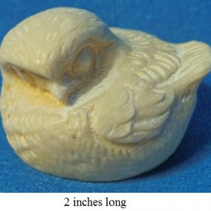 bird13.jpg