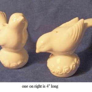 birds.jpg