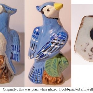 blue jay.jpg